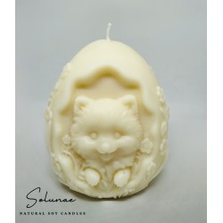 Pies pomeranian / szpic miniaturowy