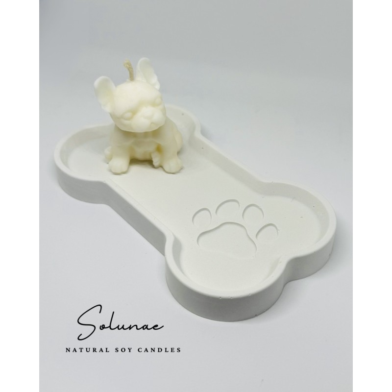 Pies buldog francuski