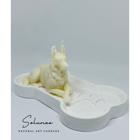 Pies owczarek niemiecki