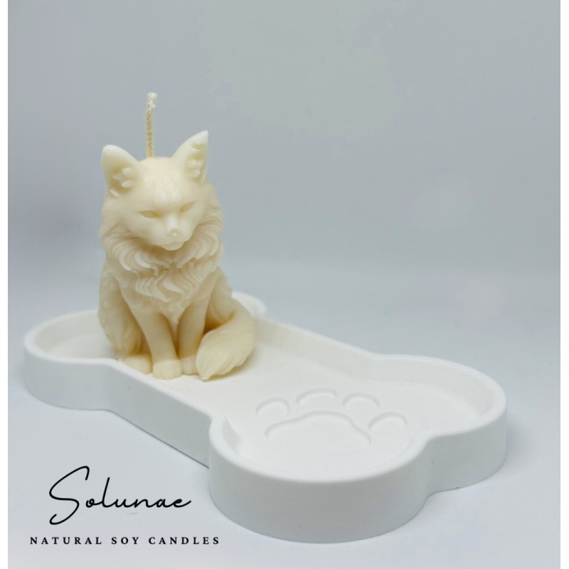 Kot syberyjski / maine coon